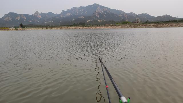 夏季灵活多变的钓鱼方法
